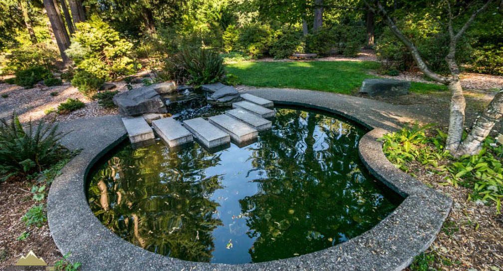 Wilderness Arboretum, United States